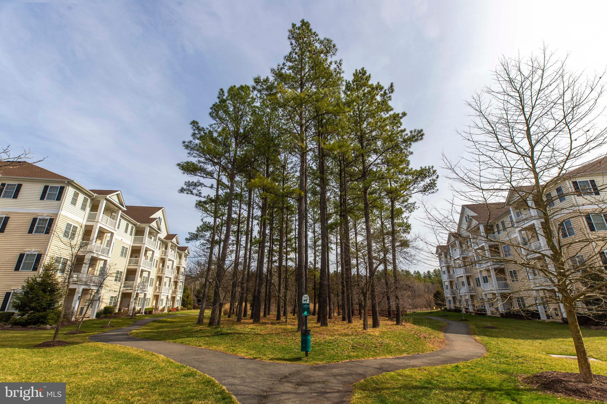 REGENCY AT DOMINION VALLEY - Residential