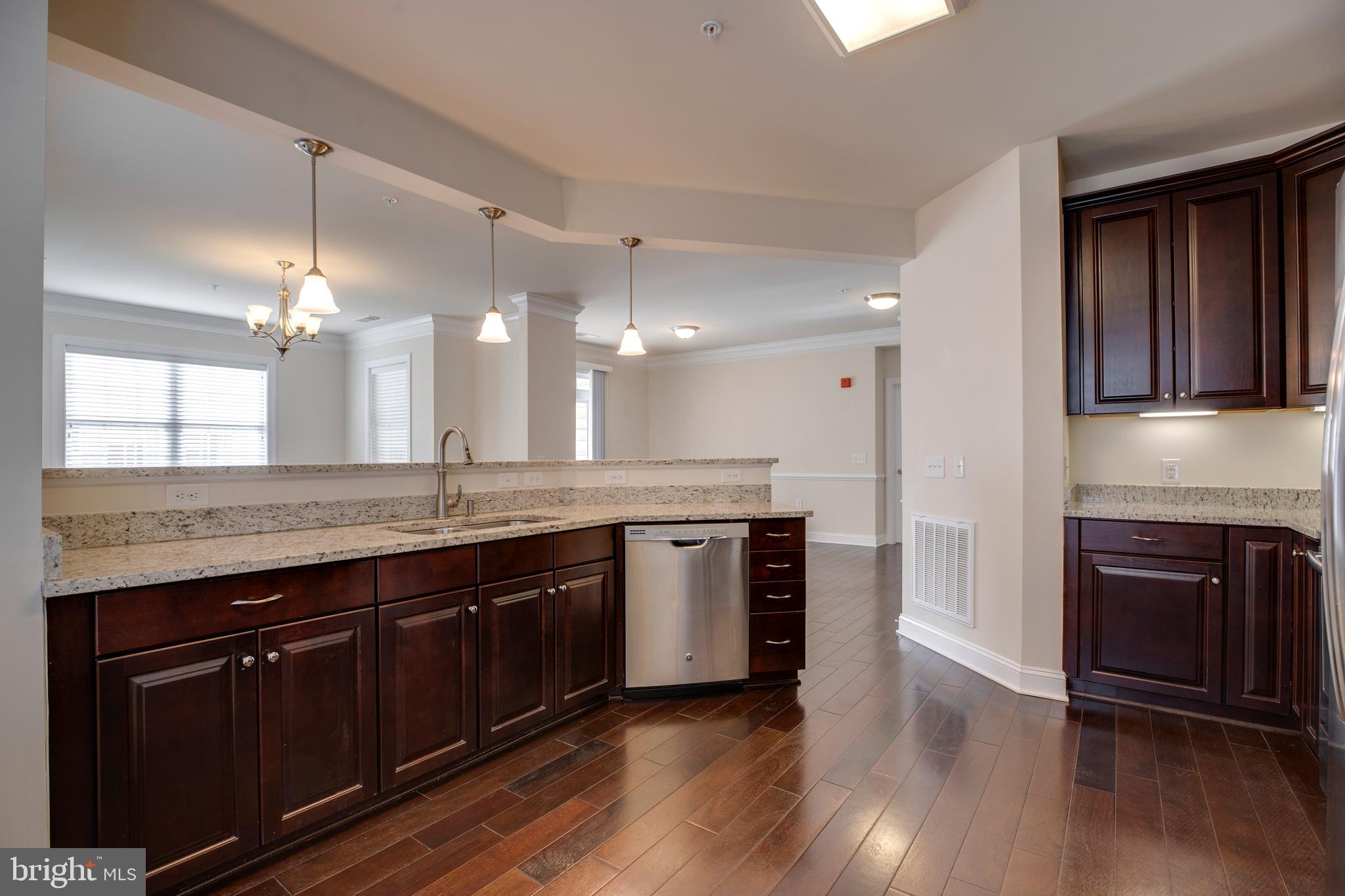 REGENCY AT DOMINION VALLEY - Residential