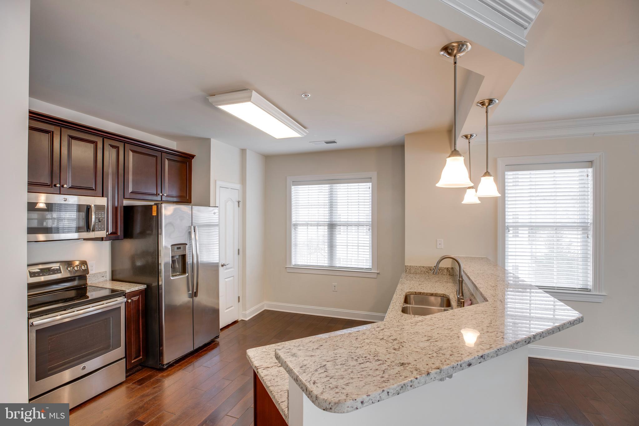 REGENCY AT DOMINION VALLEY - Residential