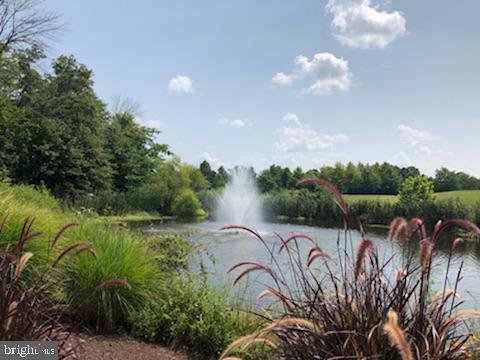 REGENCY AT DOMINION VALLEY - Residential