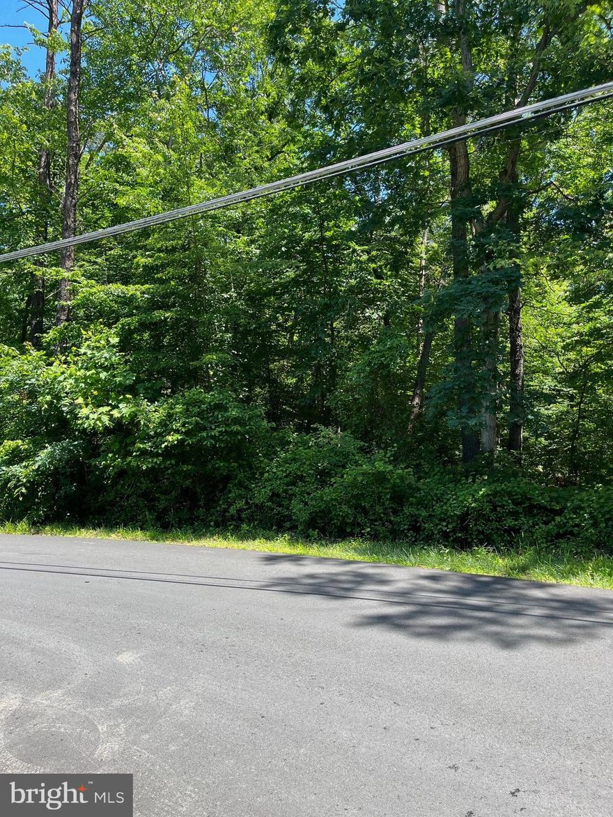 Build your custom home among other luxury homes on a lot that is just over an acre, private and surrounded by mature trees.  Initial Soil study shows possibility of 4-5 bedrooms. Buyer should complete their own feasibility study.    Excellent Location minutes from Braddock Rd, Lee Highway and Route 66.   Verified Seller!