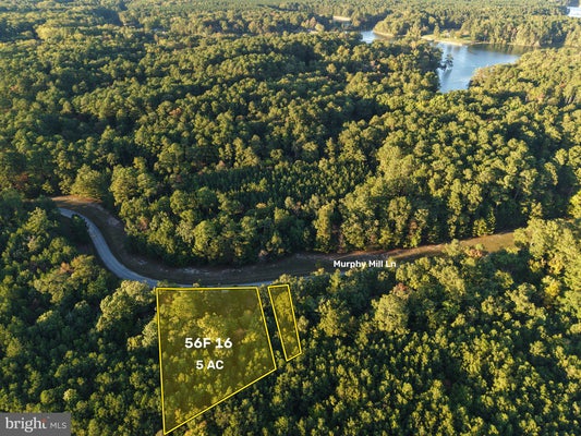 LOT 16 MURPHY'S MILL, KINSALE, VA 22488 - Image c64083a0630ce36d398df8d287bd8d06/295743932