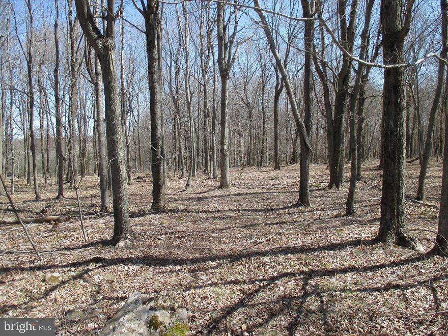 VERY NICE AND WOODED BUILDING LOT WITH LAKE ACCESS AND SHARED DOCK. GOOD INTERIOR ROADS AND SENSIBLE PROTECTIVE COVENANTS. ENJOY YEAR ROUND LIVING OR BUILD THAT SUMMER HOME WITH LAKE AND RECREATIONAL  AMENITIES. SWIM, FISH, BOAT, SKI, AND SCUBA IN THIS WONDERFUL WEST VIRGINIA LAKE. 21/2 HOURS TO THE BALTIMORE-WASHINGTON METRO AREAS AND 2 HOURS FROM PITTSBURGH.  2 ADJOINING LOTS AVAILABLE FOR SALE.