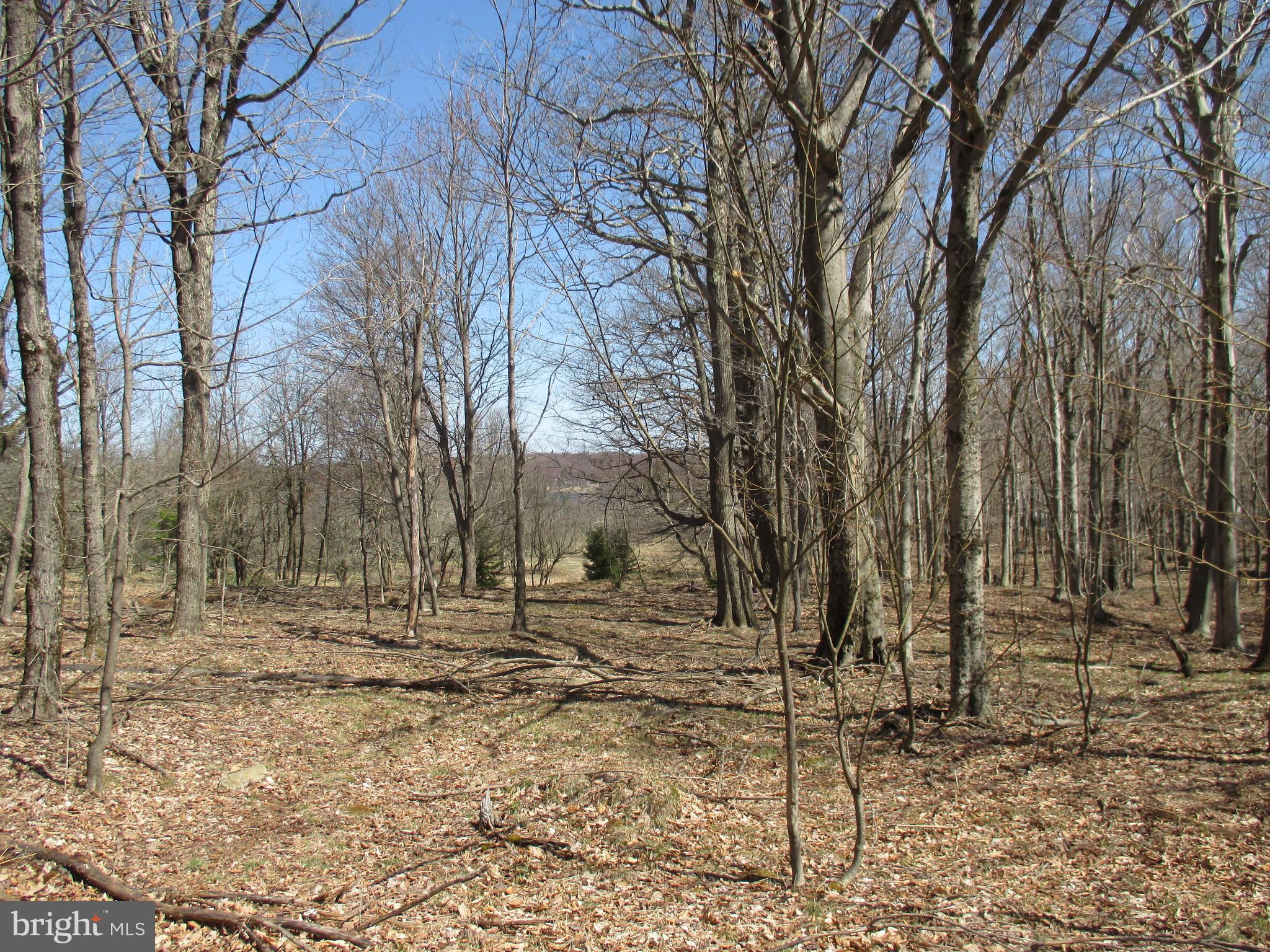 MT LAKESIDE SUB DIVIDE MEADOWS