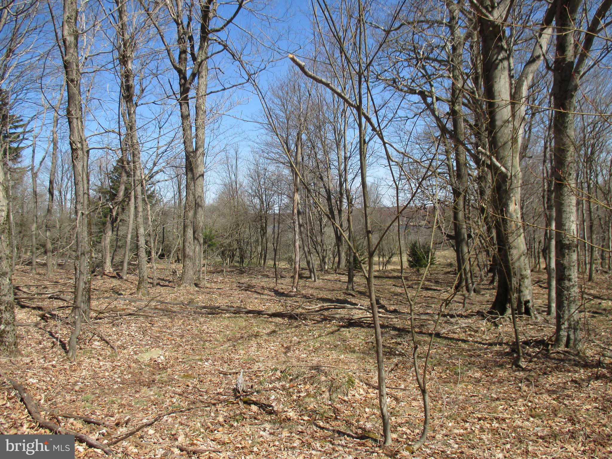 MT LAKESIDE SUB DIVIDE MEADOWS