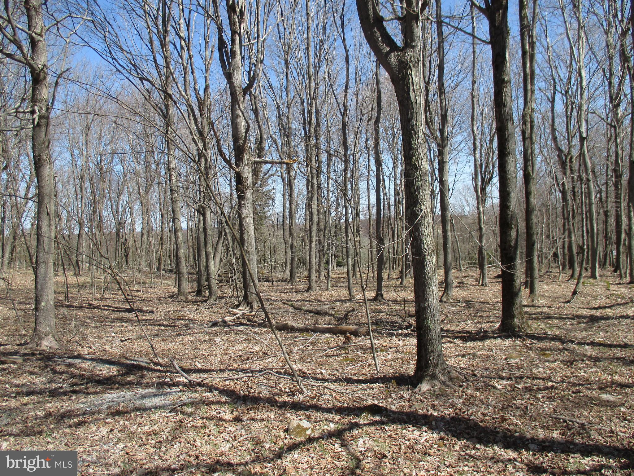 MT LAKESIDE SUB DIVIDE MEADOWS
