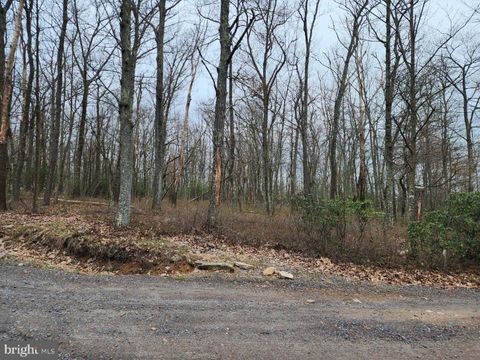 0 CHAMONIX ZION GROVE PA 17985