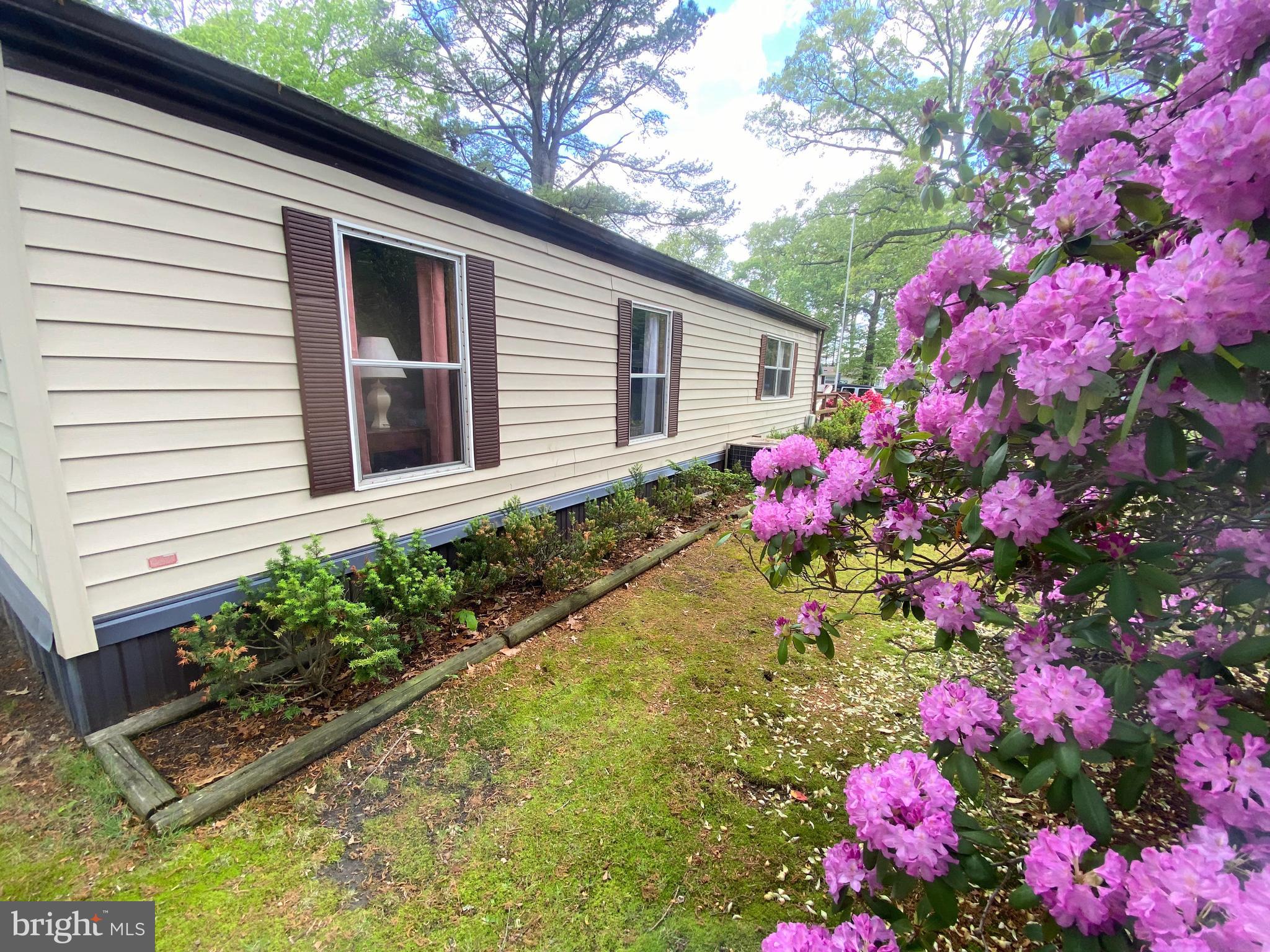 34144 INDIAN CABIN CREEK ROAD 259