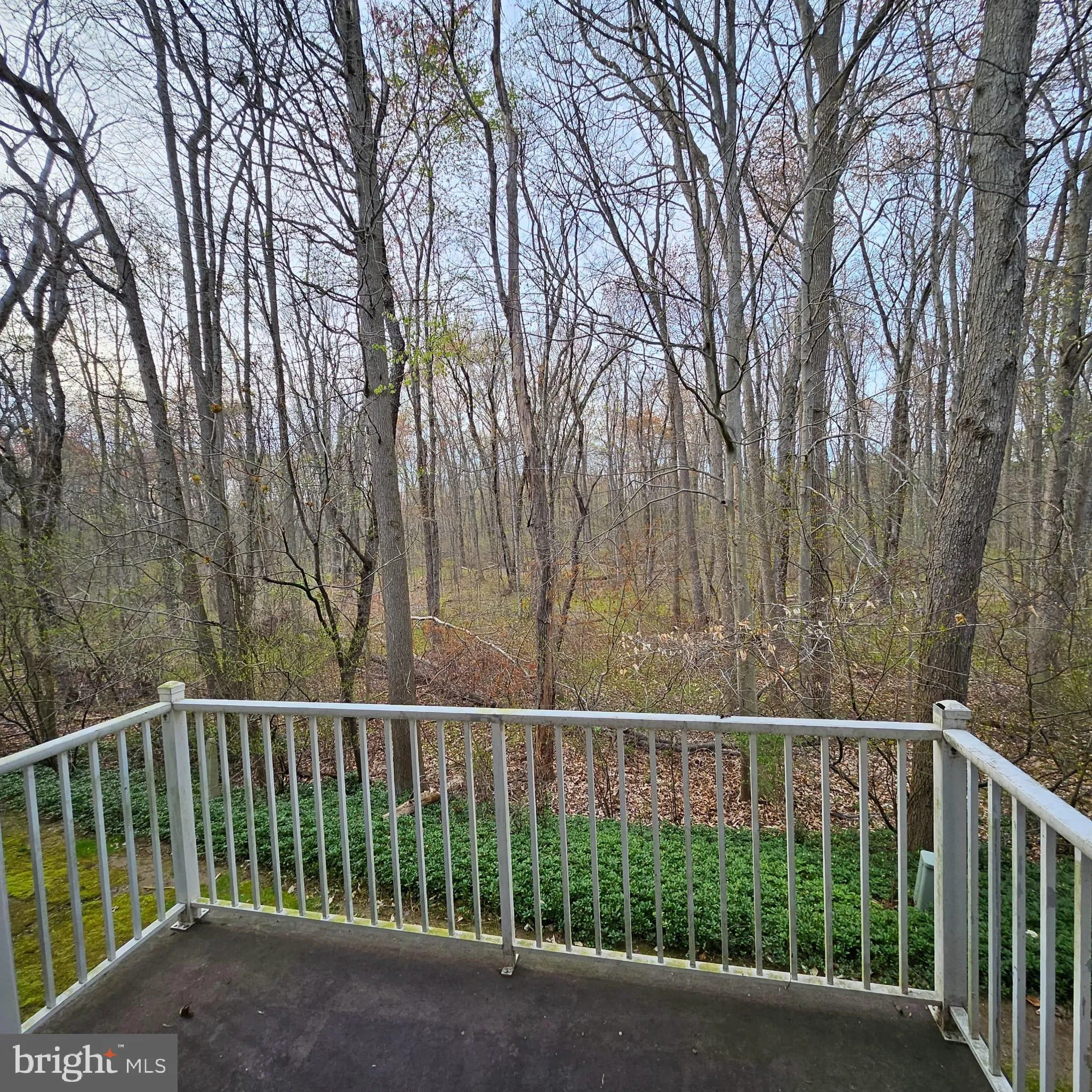 Princeton, New Jersey 08540, United States, 2 Bedrooms Bedrooms, ,2 BathroomsBathrooms,Residential,Contingent,117203