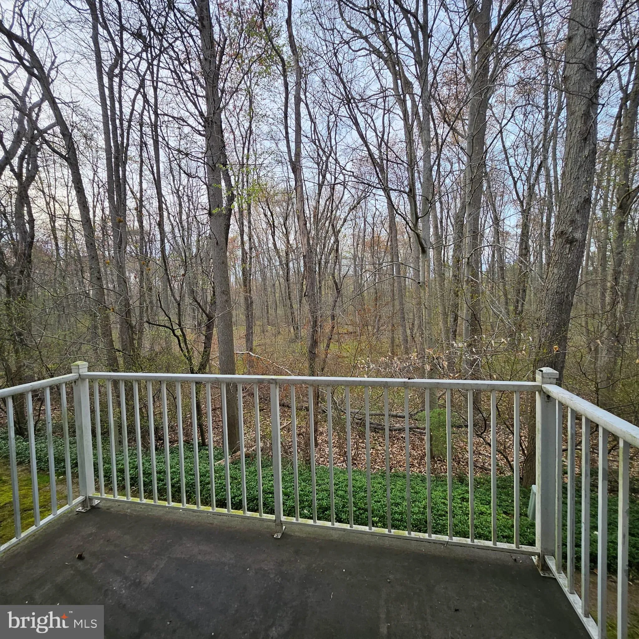 Princeton, New Jersey 08540, United States, 2 Bedrooms Bedrooms, ,2 BathroomsBathrooms,Residential,Contingent,117203