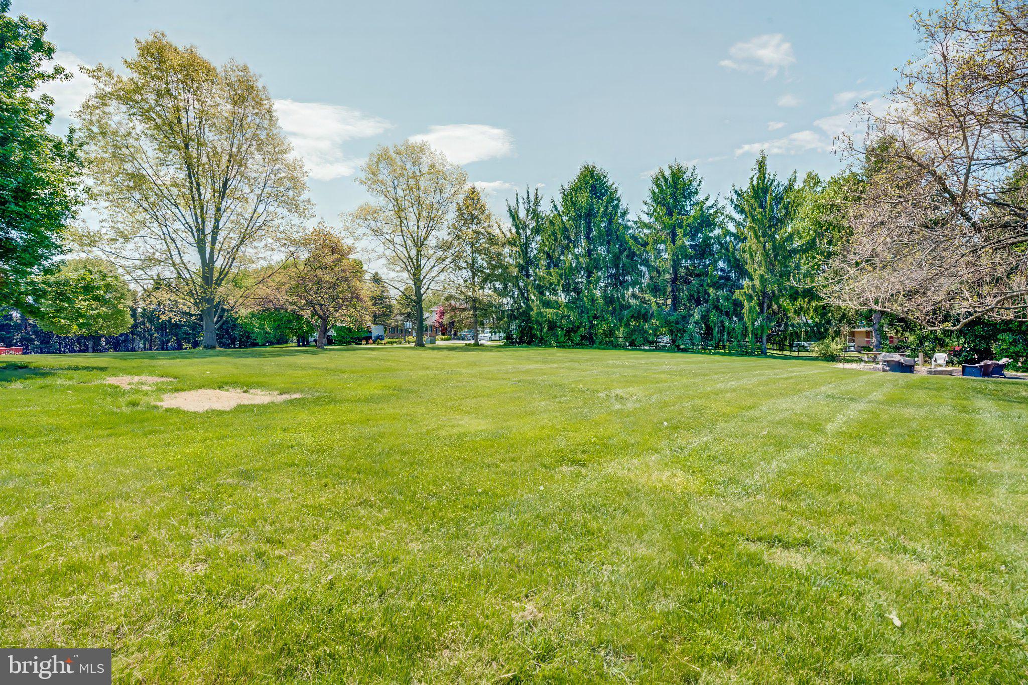 BRADDOCK ESTATES - Residential