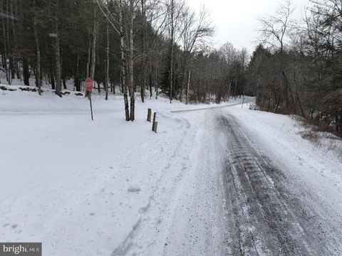 Tiny photo for Lot 2 - 0 Holbrook Road, MONTROSE, PA 18801 (MLS # PASU2000146)