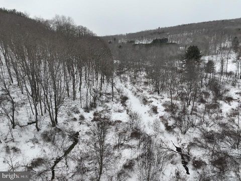 Tiny photo for Lot 2 - 0 Holbrook Road, MONTROSE, PA 18801 (MLS # PASU2000146)