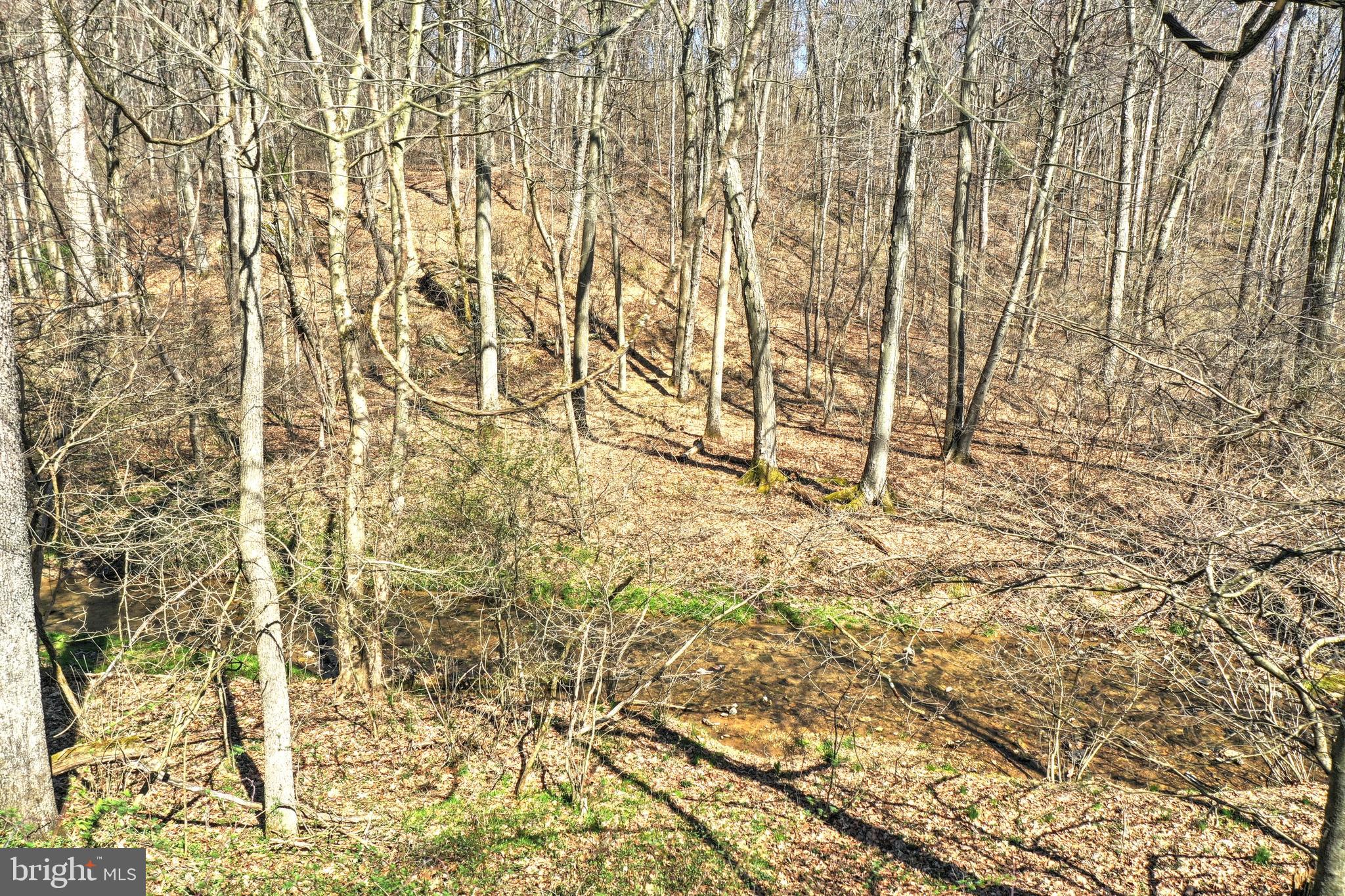 LOWER CHANCEFORD - Land