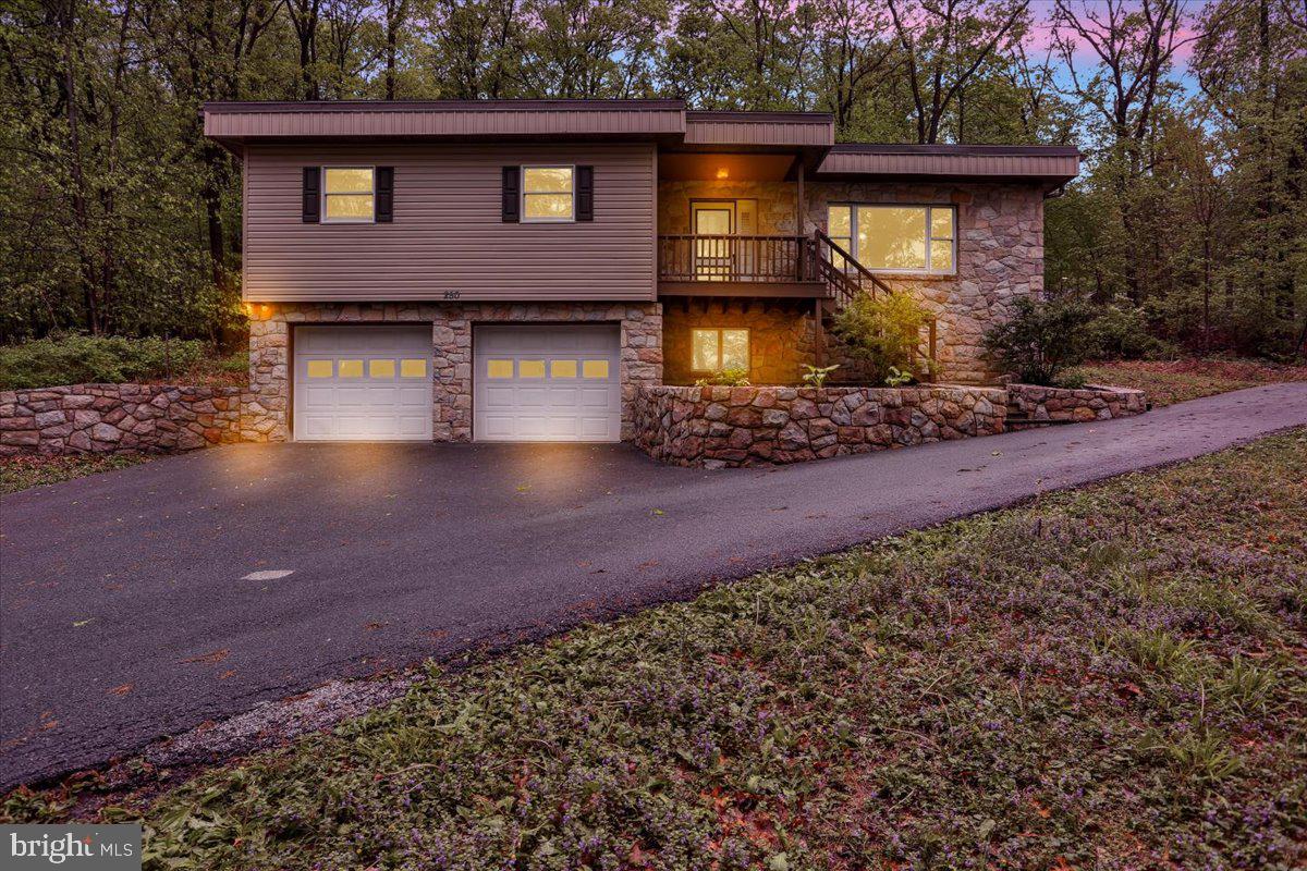 250 SKYLINE DRIVE