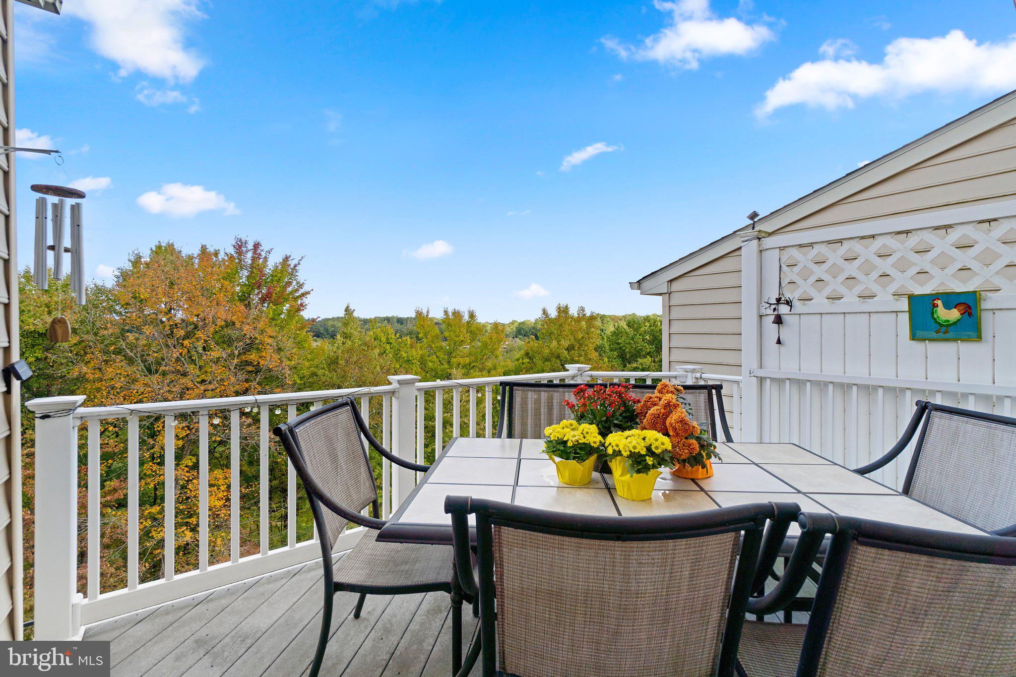 VILLAGES AT WOODHOLME - Residential