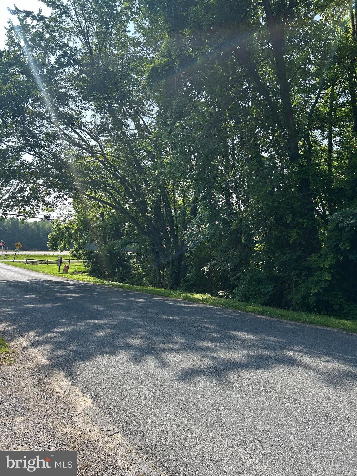 103 CHESAPEAKE ESTATES DRIVE