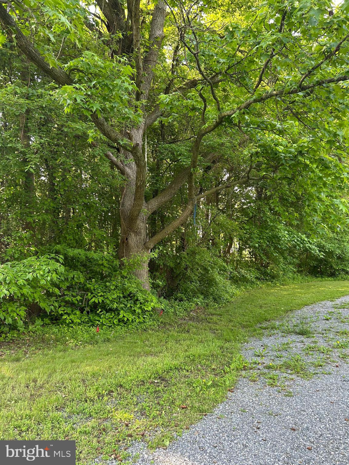 103 CHESAPEAKE ESTATES DRIVE