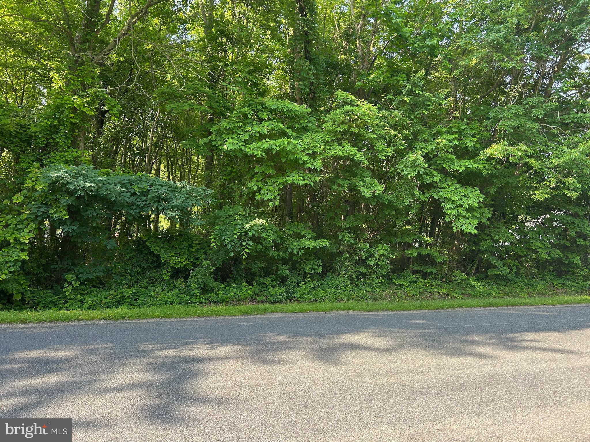 This 0.34-acre uncleared lot, located next to the entrance sign of the Chesapeake Estates community, is in a prime location for those seeking both relaxation and convenience. Public sewer available. Playground and picnic area at the waterfront community park. Easy access to the Bay Bridge, walking trails, shopping & restaurants. This lot offers a rare opportunity to create a personalized space in a desirable location. Don't miss out on this chance to own a piece of the Eastern Shore's charm.