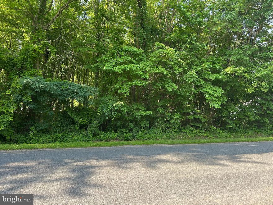 This 0.34-acre uncleared lot, located next to the entrance sign of the Chesapeake Estates community, is in a prime location for those seeking both relaxation and convenience. Public sewer available.  Playground and picnic area at the waterfront community park.  Easy access to the Bay Bridge, walking trails, shopping & restaurants.  This lot offers a rare opportunity to create a personalized space in a desirable location.  Don't miss out on this chance to own a piece of the Eastern Shore's charm.