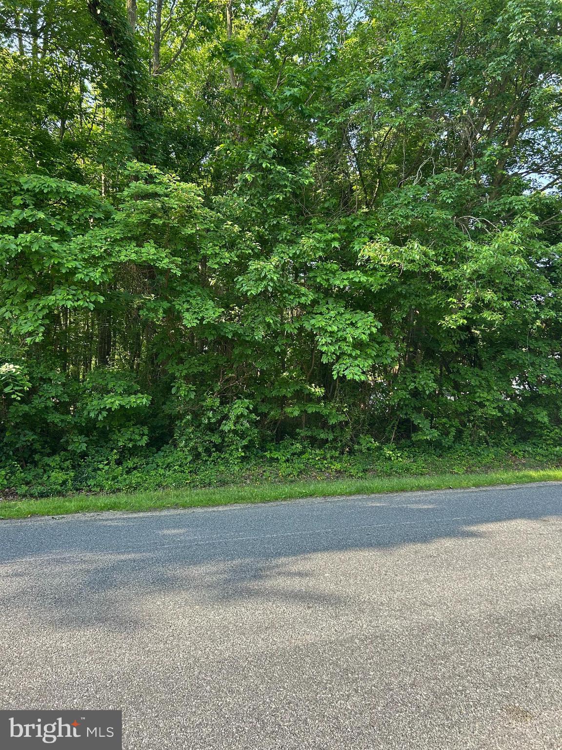 CHESAPEAKE ESTATES - Land