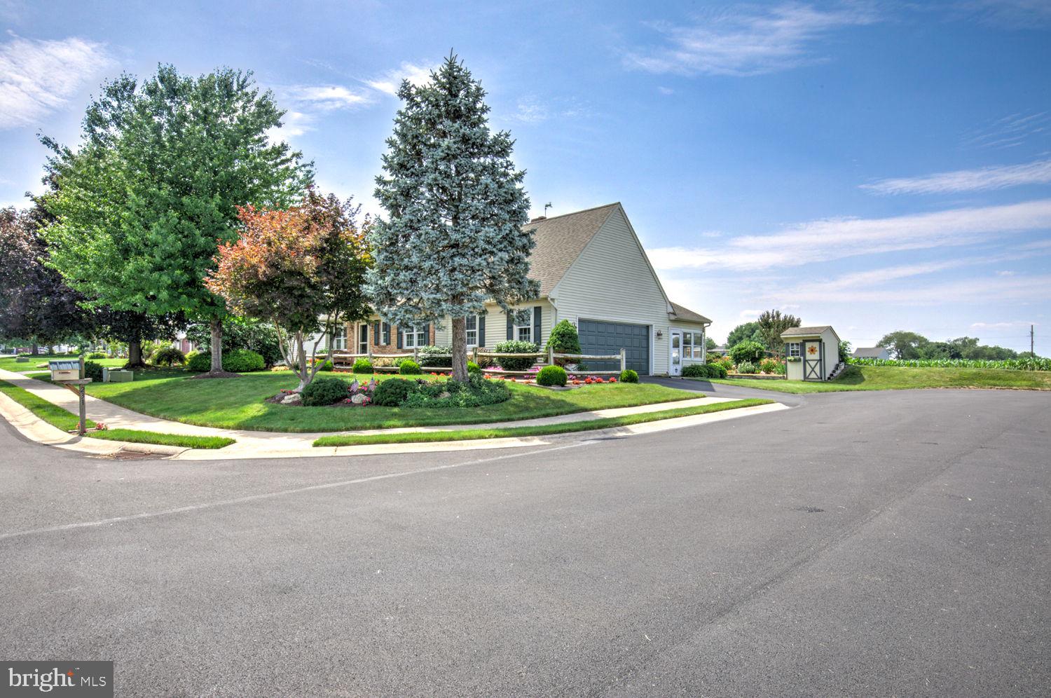 231 CYPRESS LANE