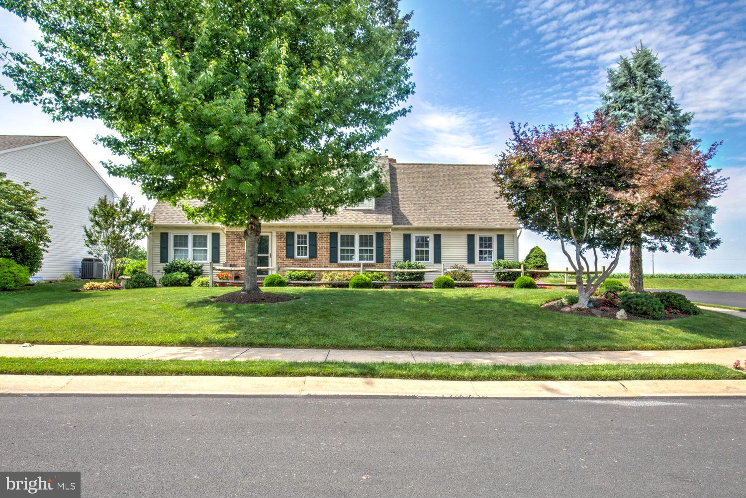 231 CYPRESS LANE