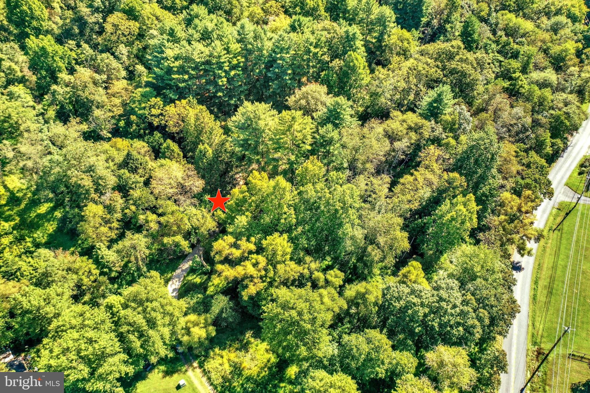 3537 MILL GREEN ROAD