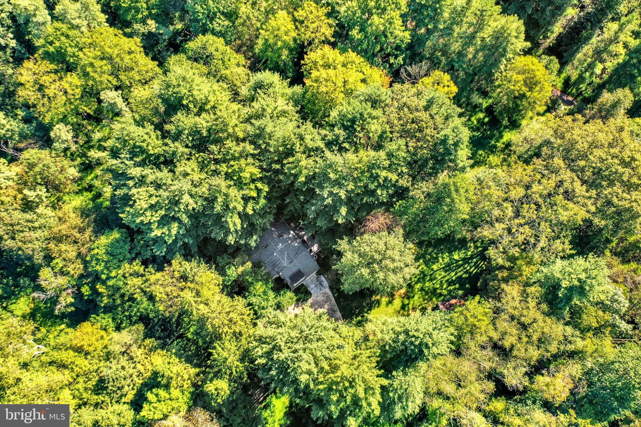 3537 MILL GREEN ROAD
