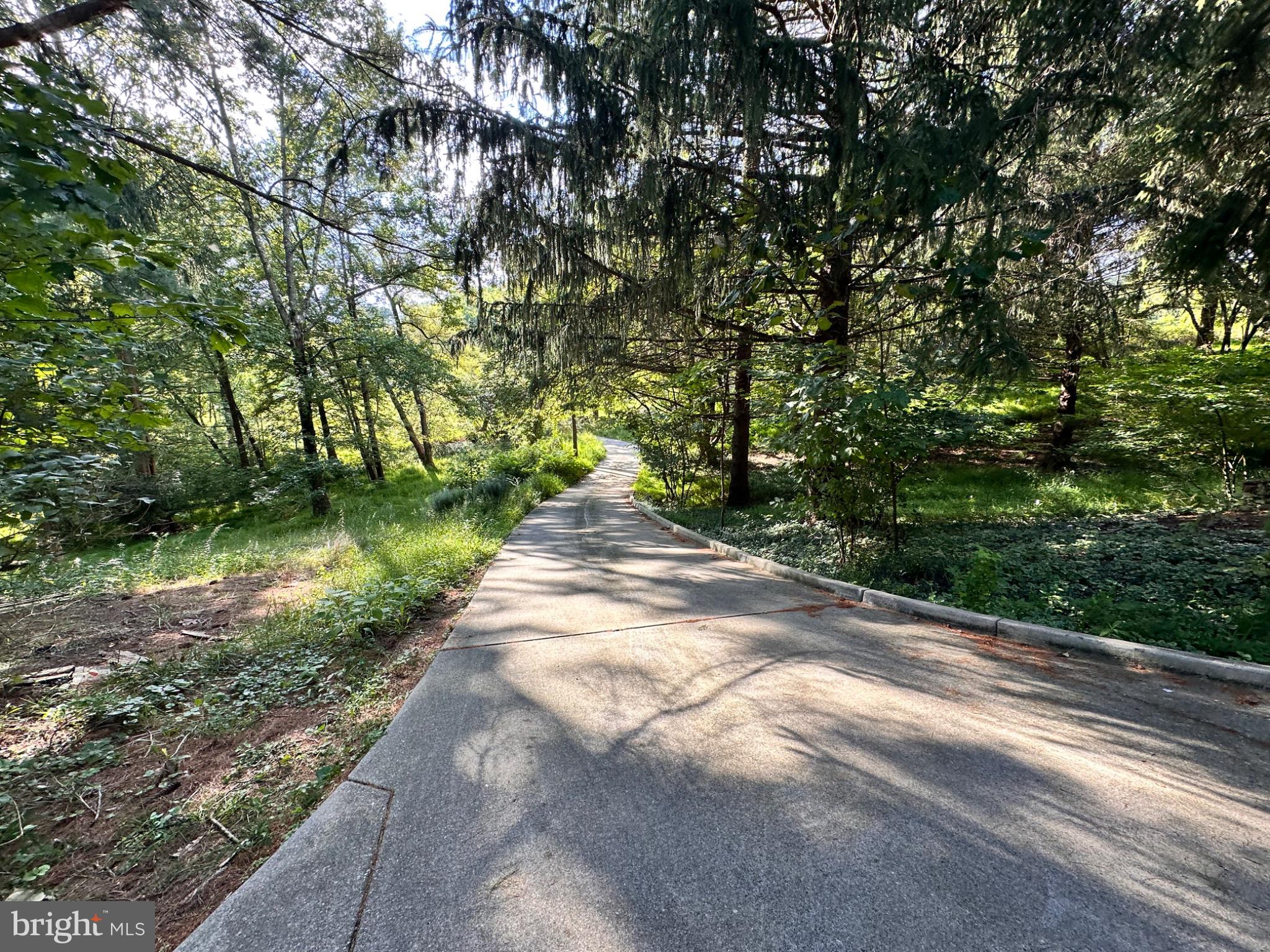 3537 MILL GREEN ROAD