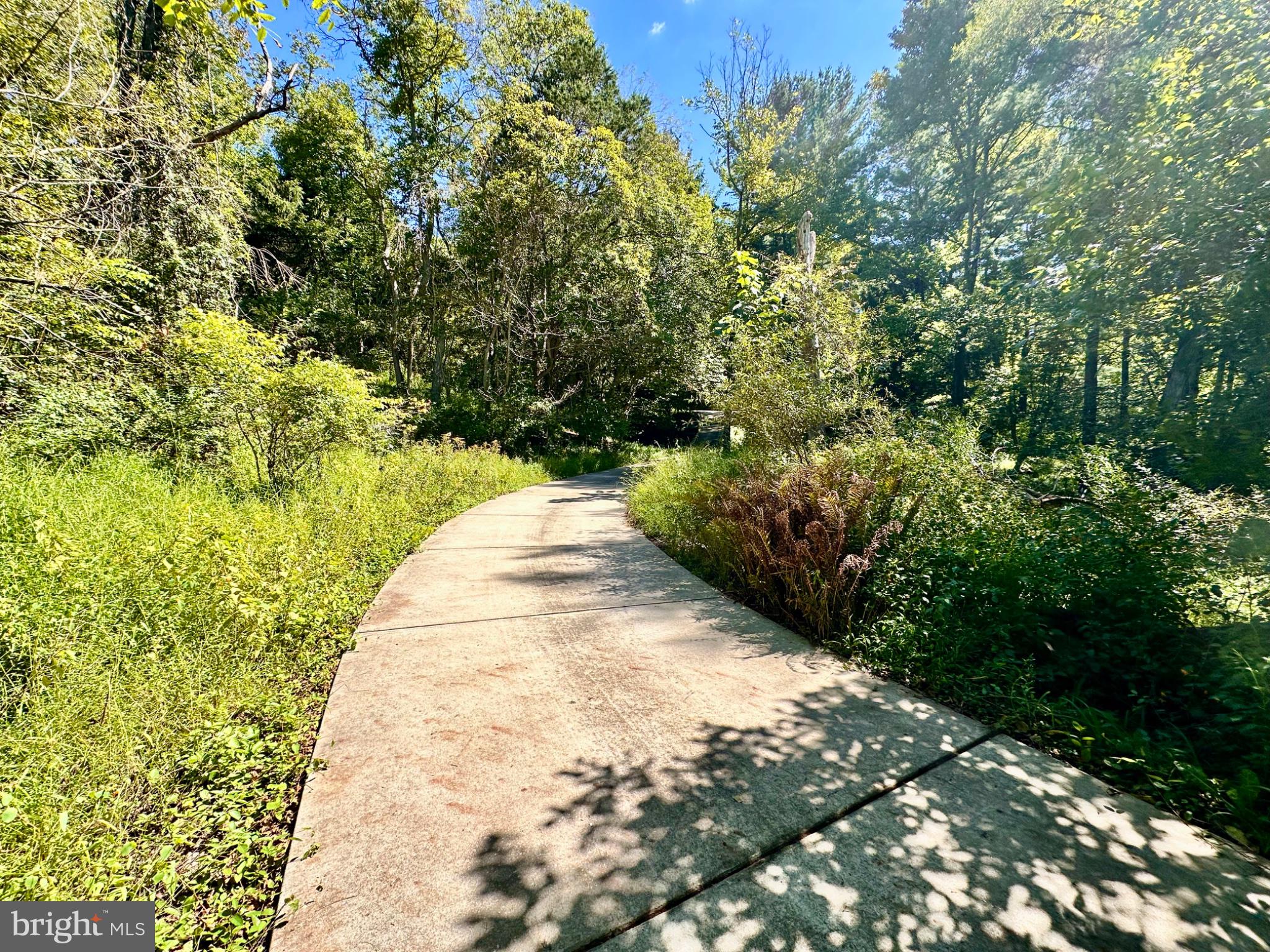 3537 MILL GREEN ROAD
