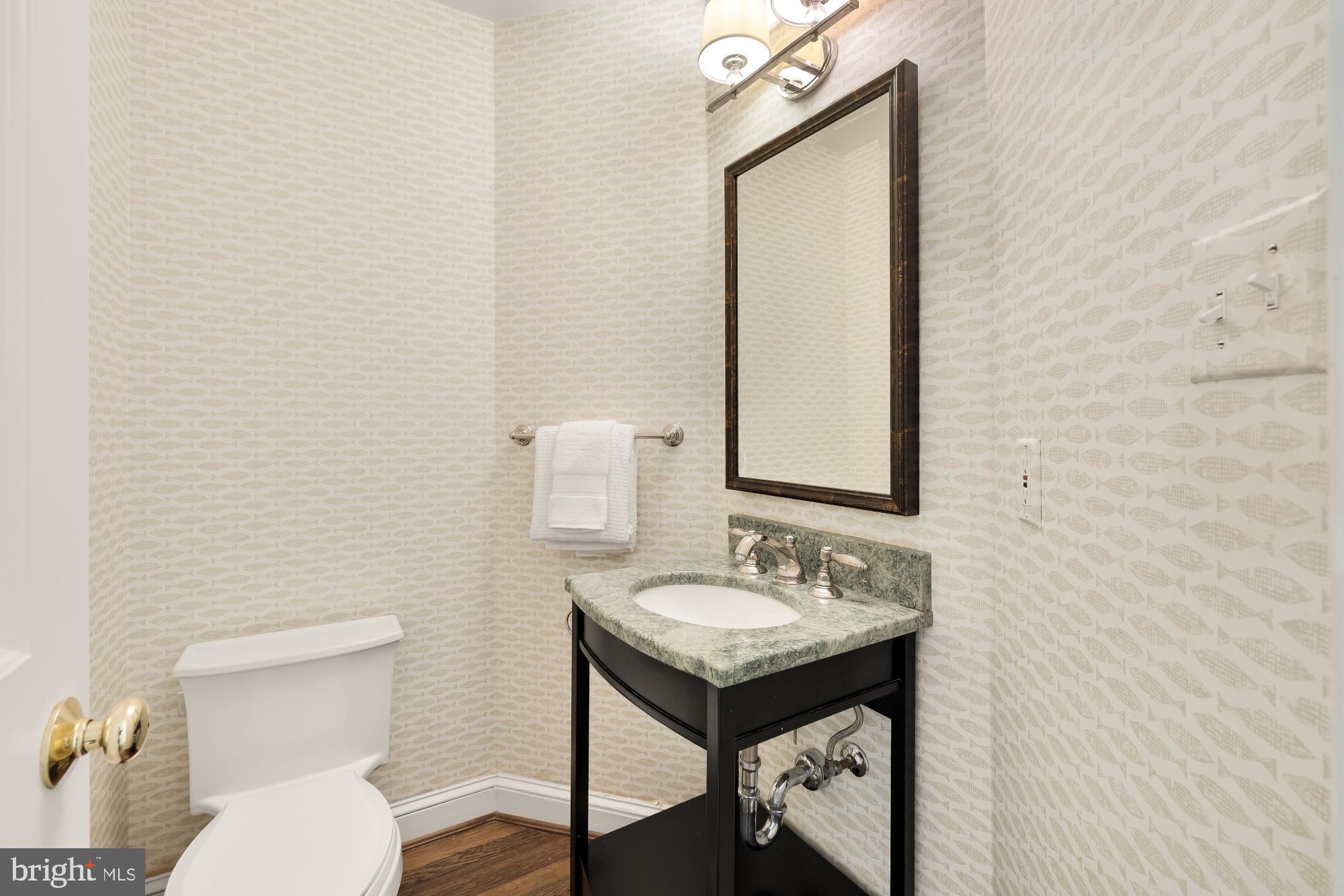 CHEVY CHASE VILLAGE - Residential