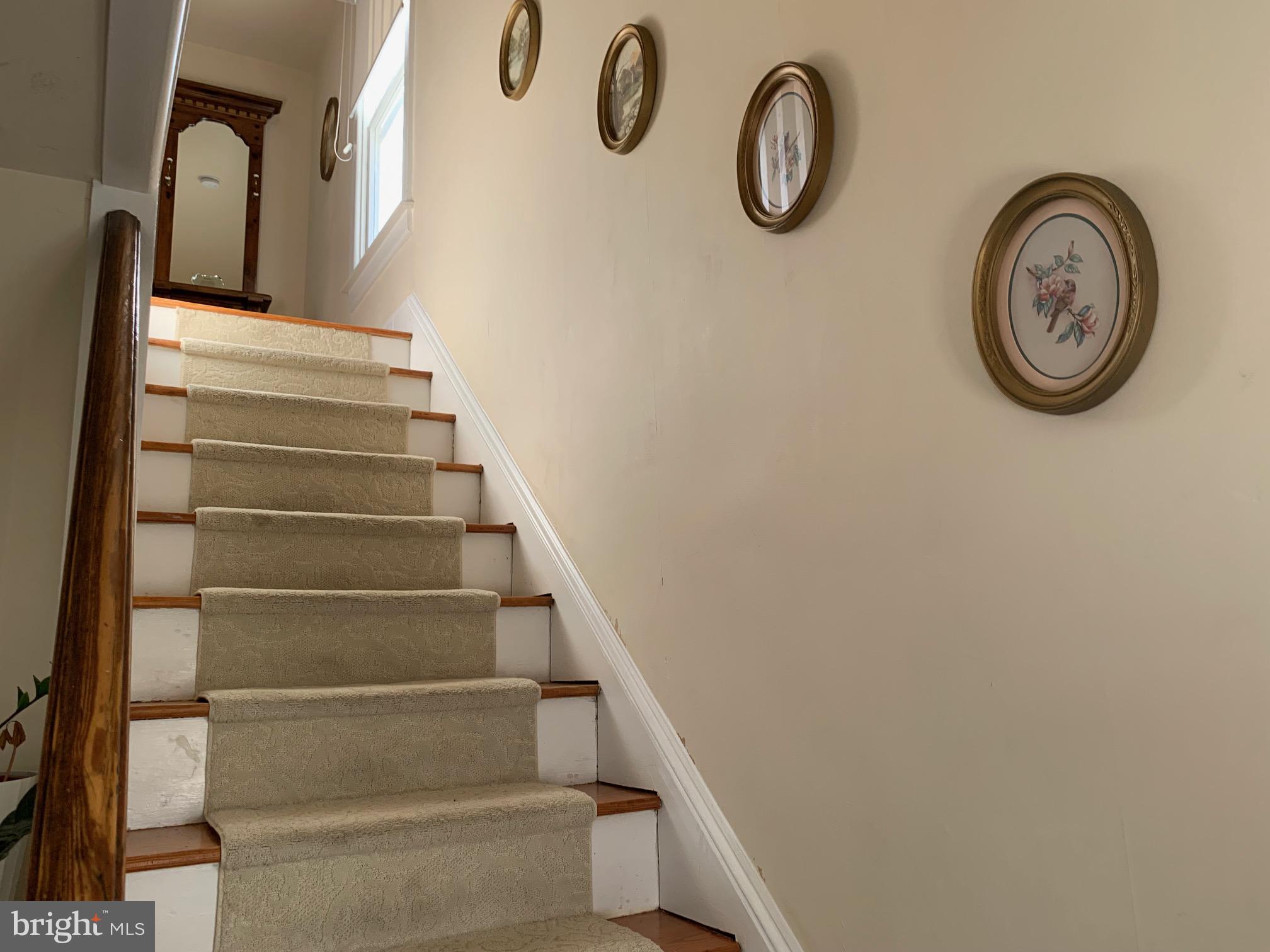 CEDAR LAWN - Residential