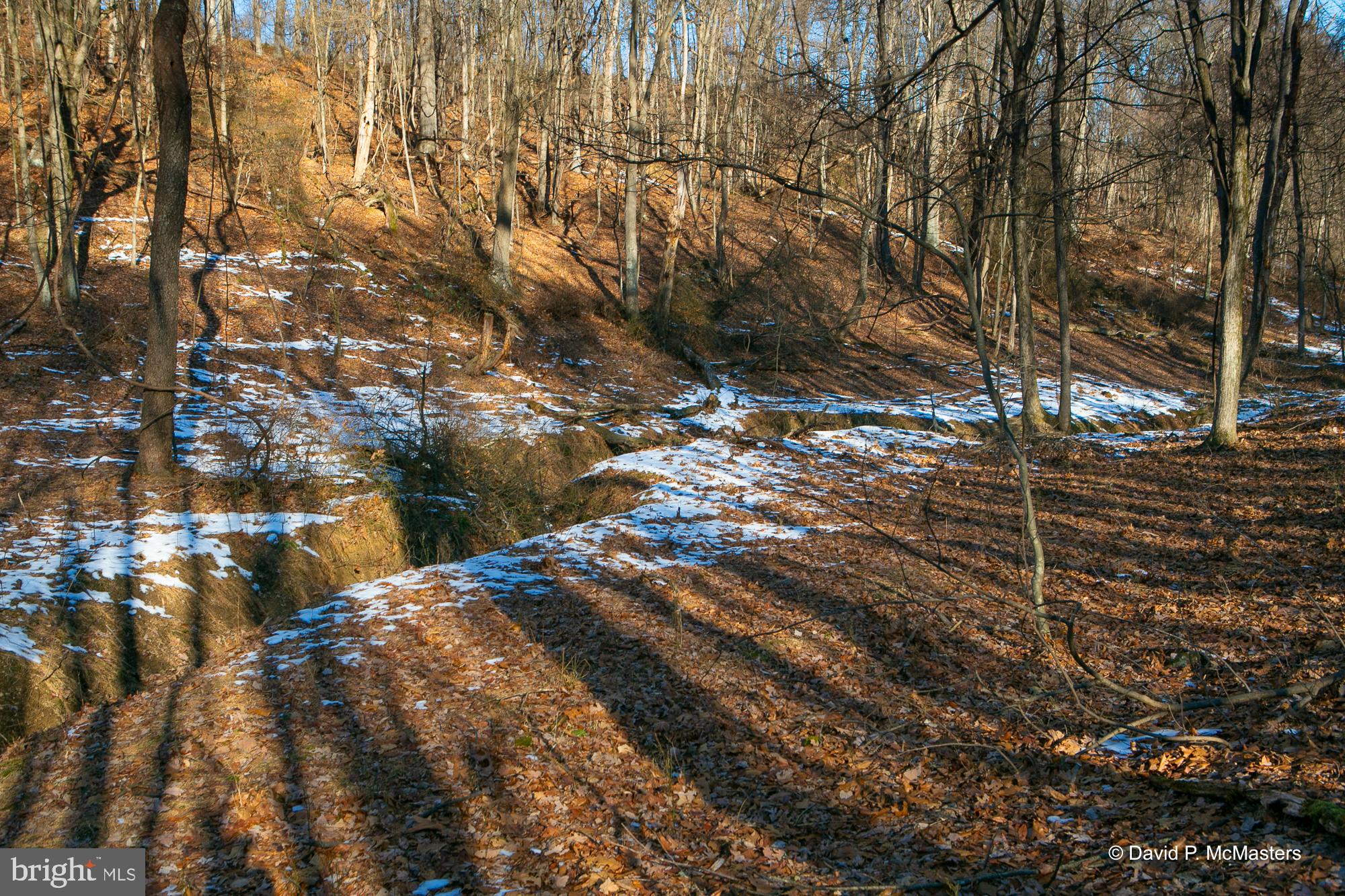 ROUND TOP ESTATES - Land