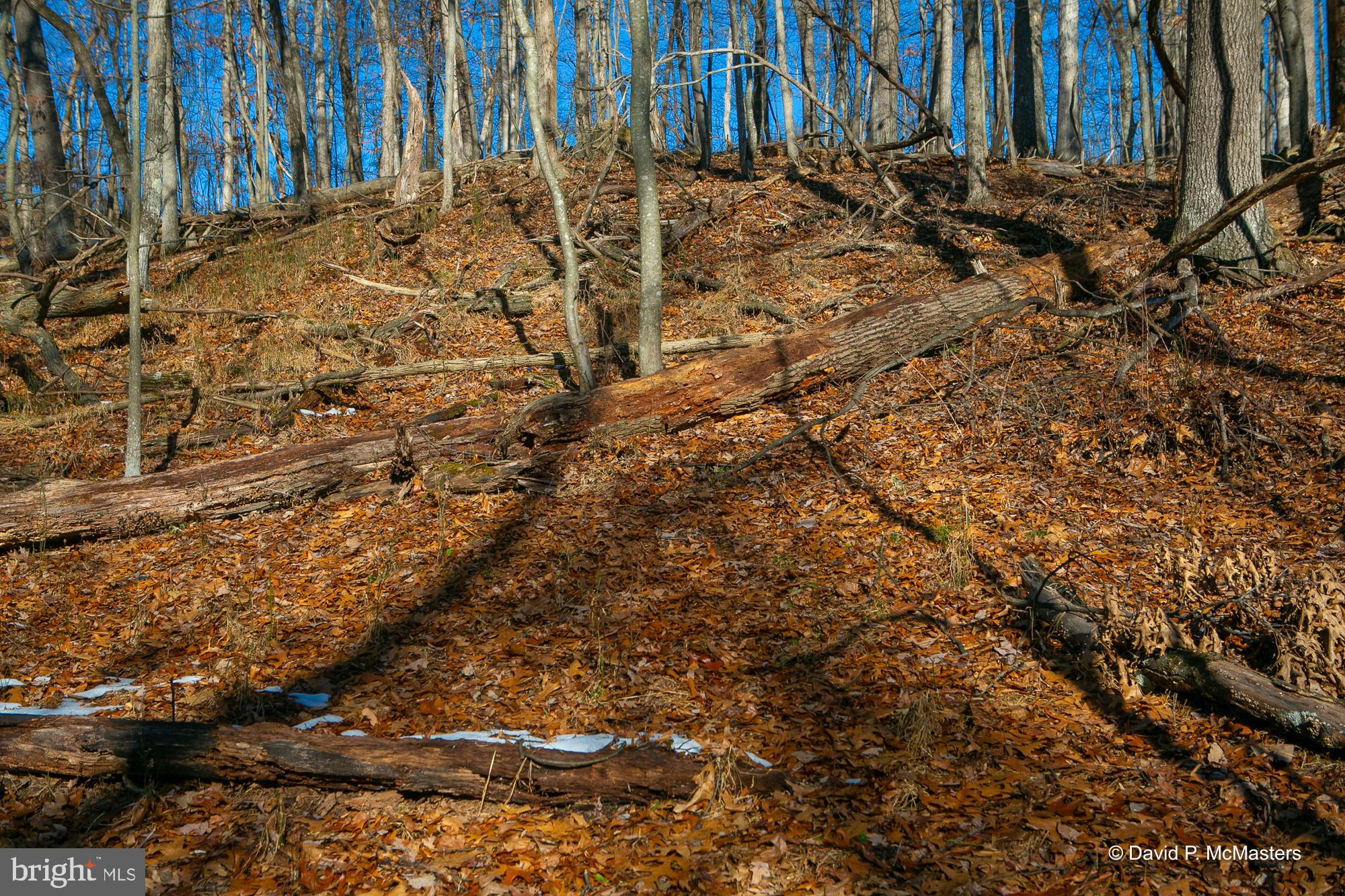 ROUND TOP ESTATES - Land