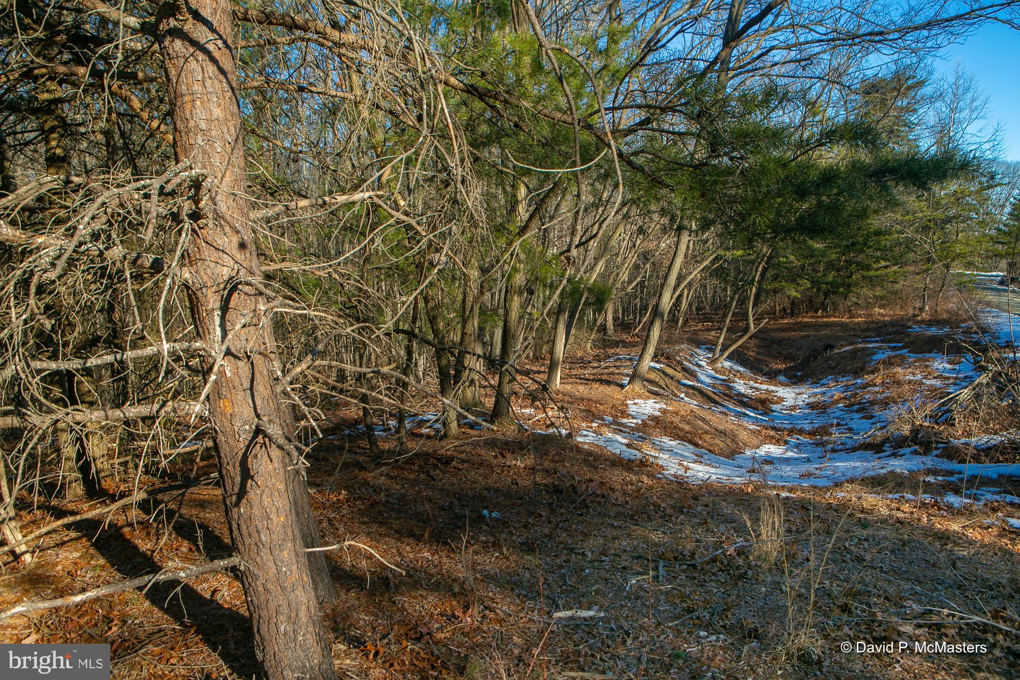ROUND TOP ESTATES - Land