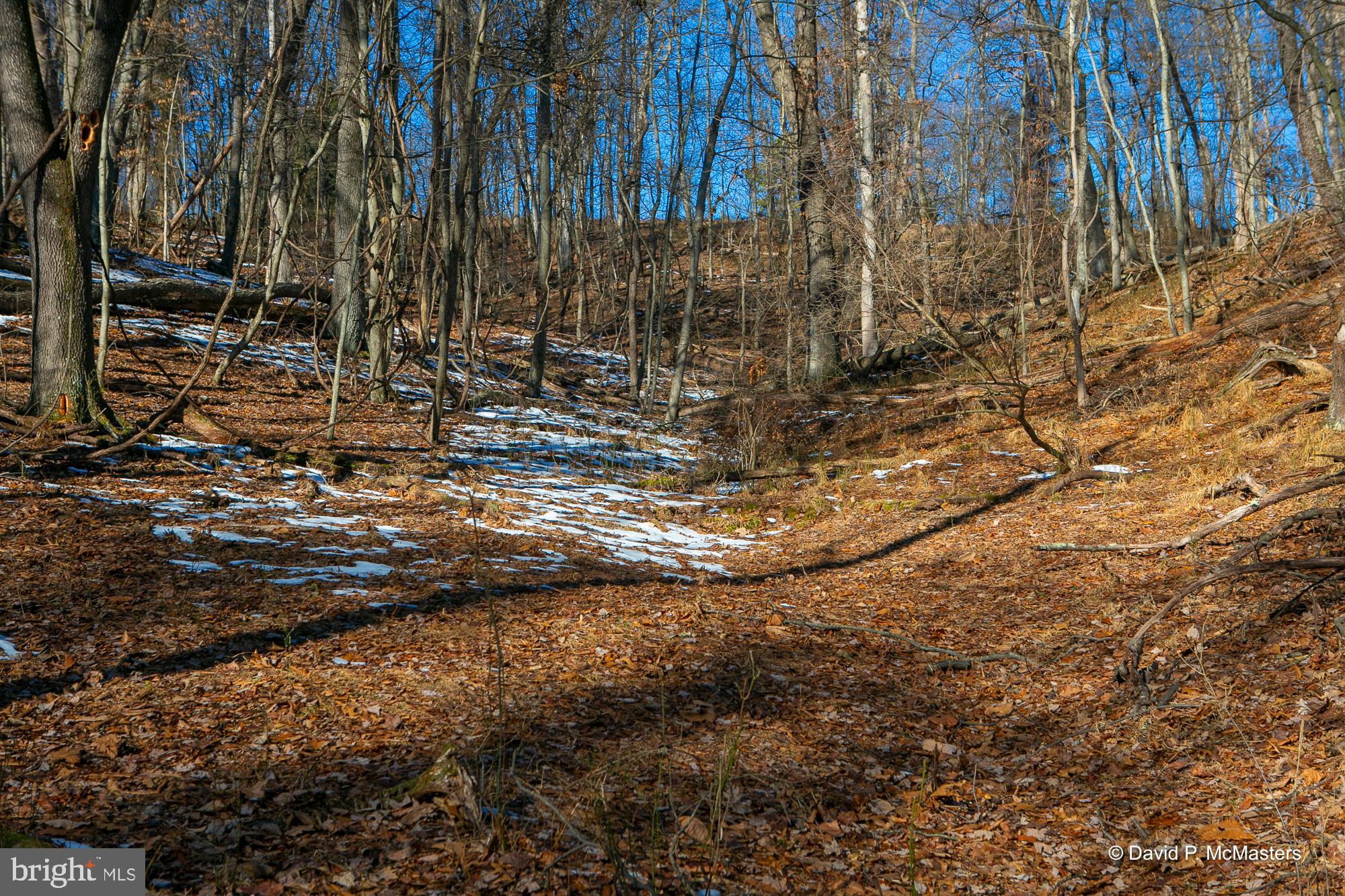 ROUND TOP ESTATES - Land