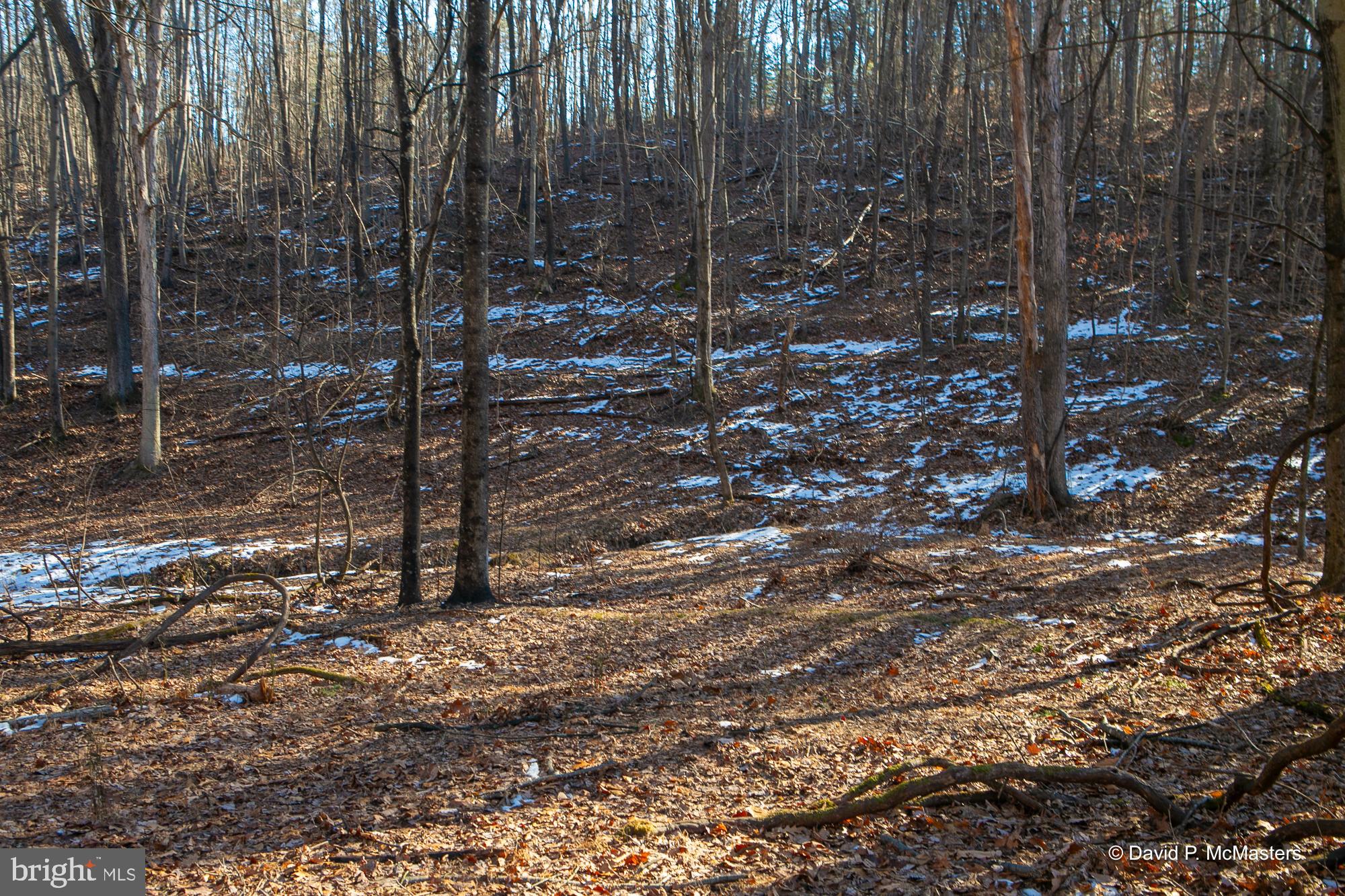 ROUND TOP ESTATES - Land