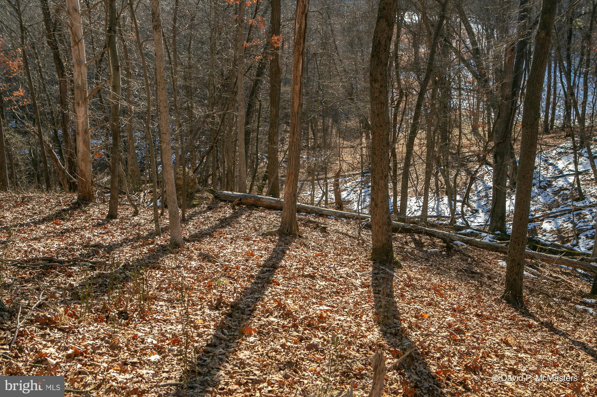 ROUND TOP ESTATES - Land