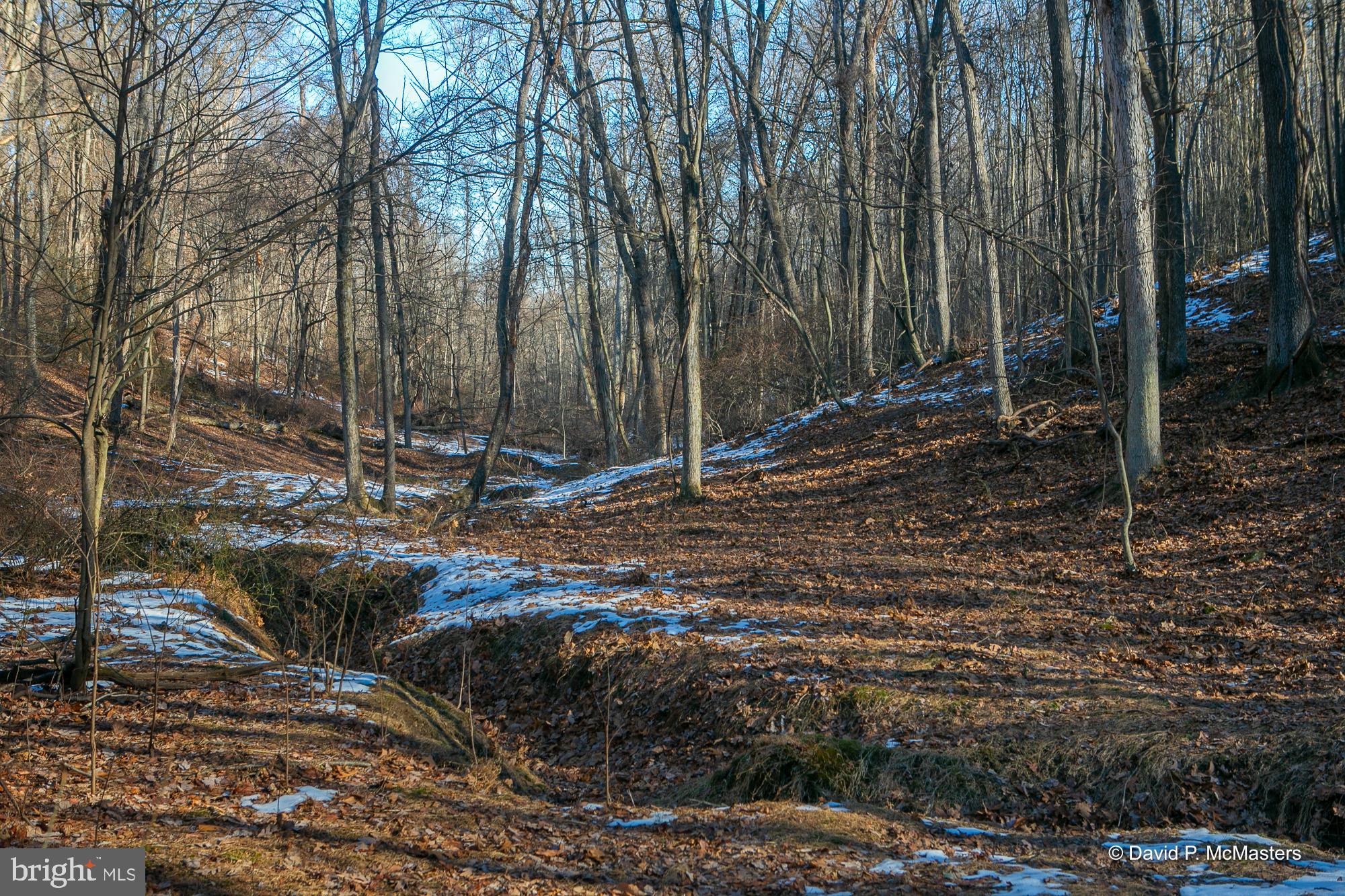 ROUND TOP ESTATES - Land