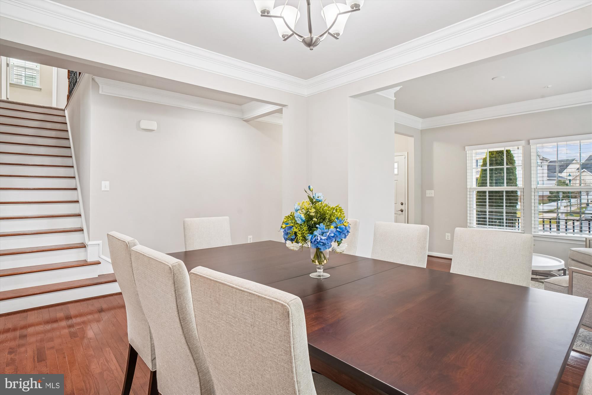 CLARKSBURG VILLAGE - Residential