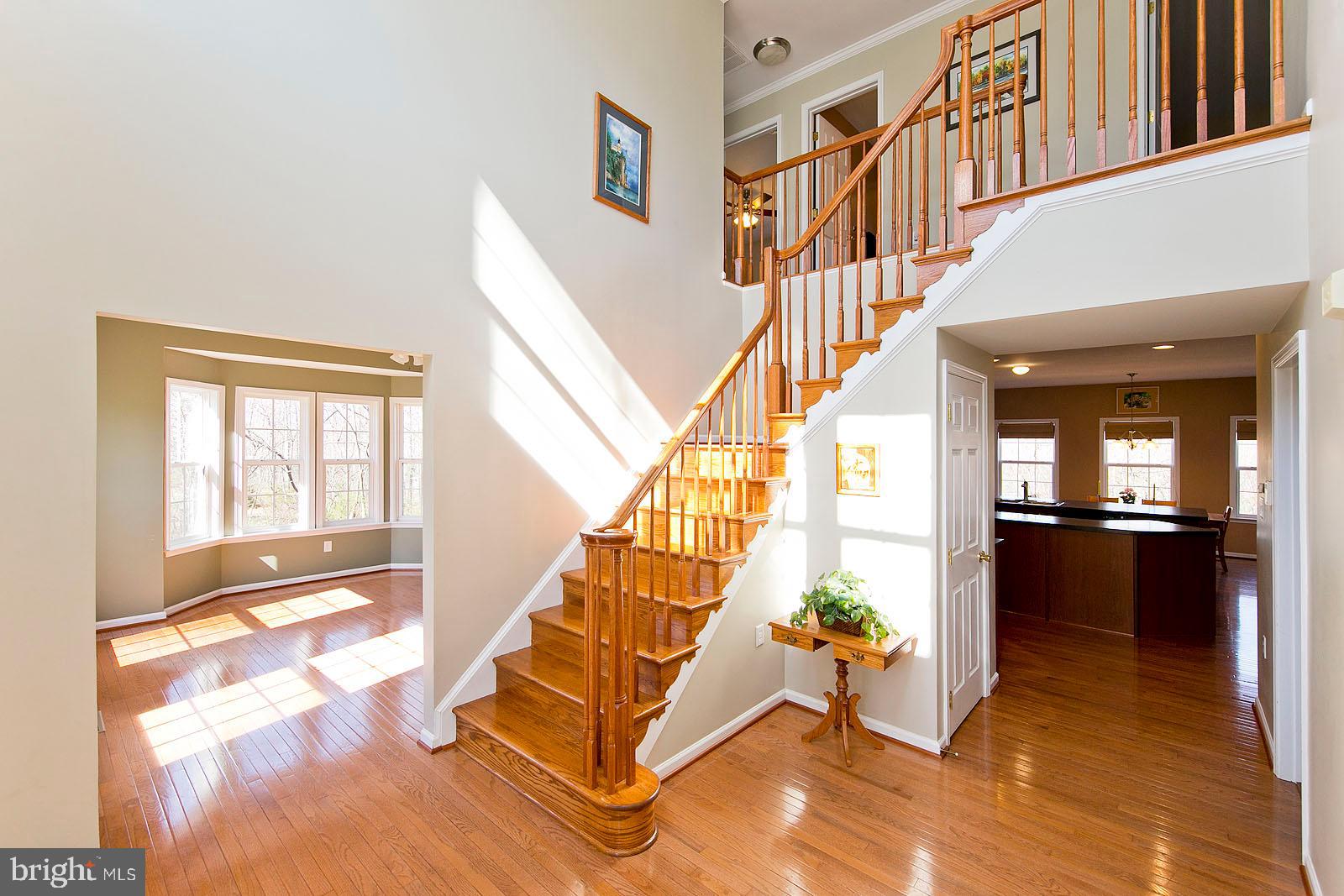 CHIMNEY HILL ESTATES - Residential