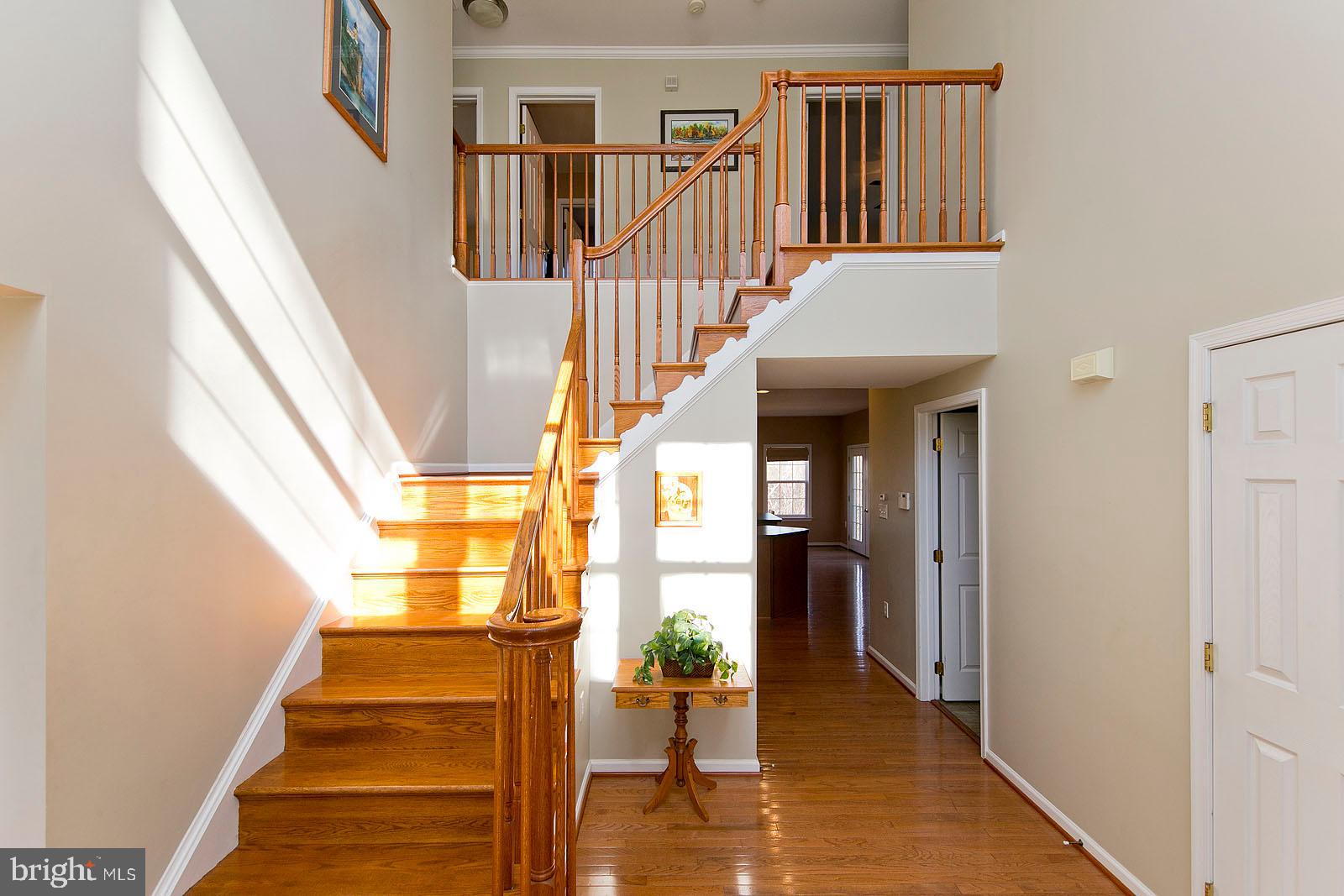 CHIMNEY HILL ESTATES - Residential