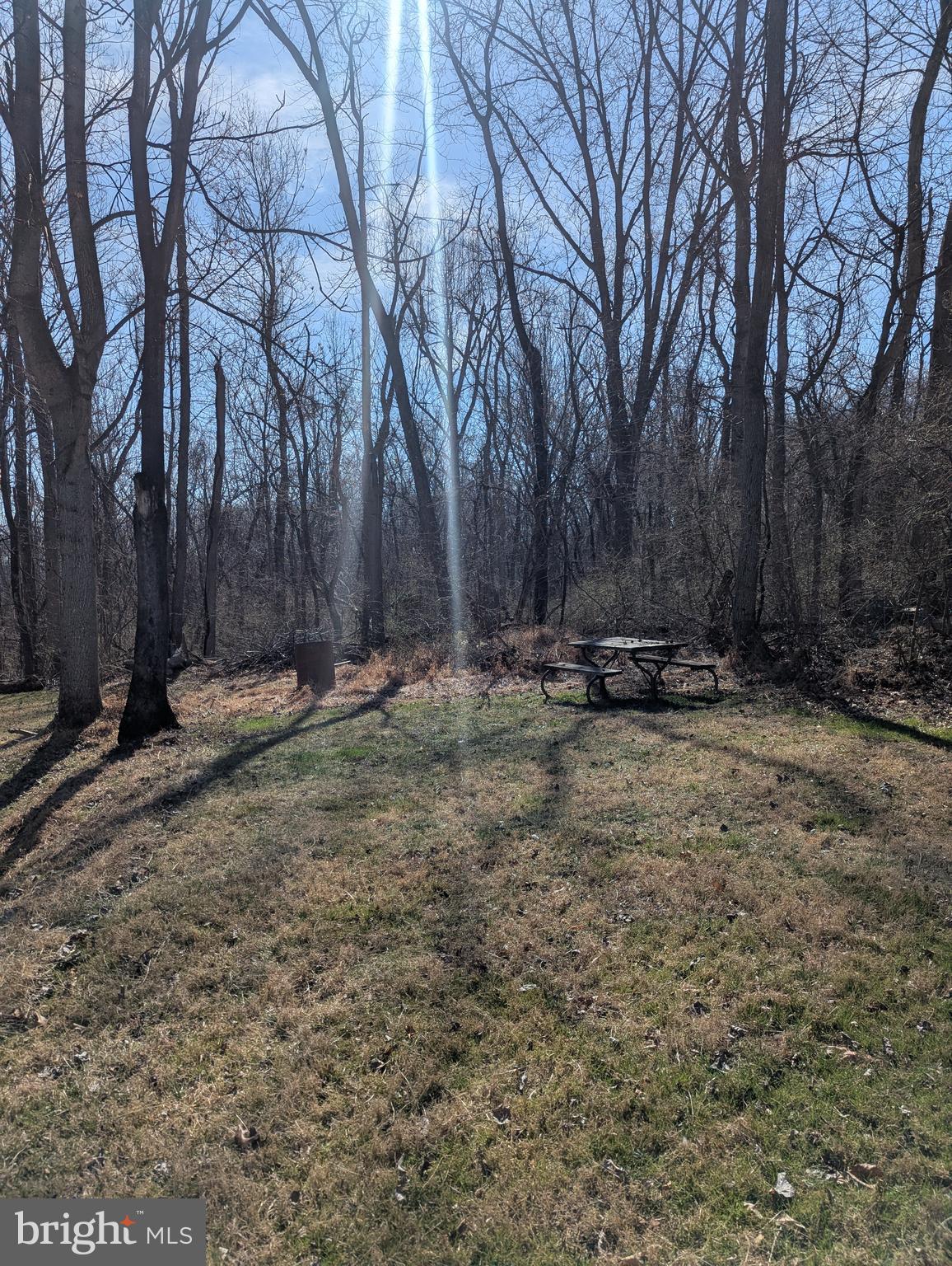 Block 69 Lot 31 ANIMAL ROAD