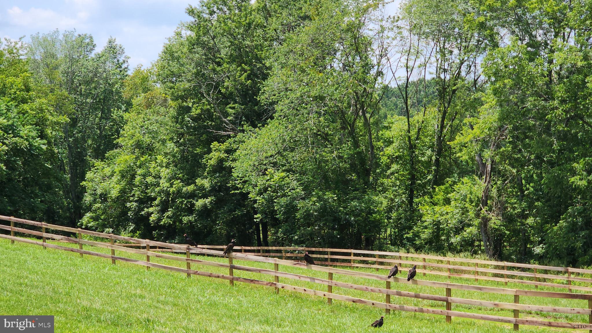 HAZEL RIDGE - Residential