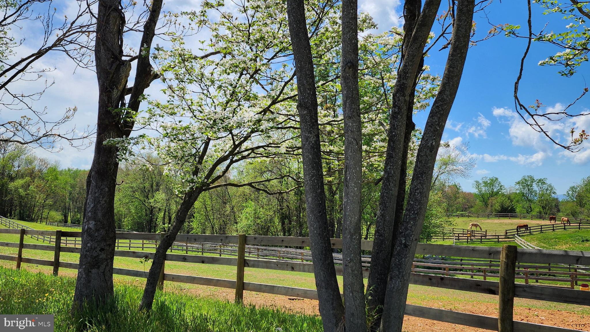 HAZEL RIDGE - Residential
