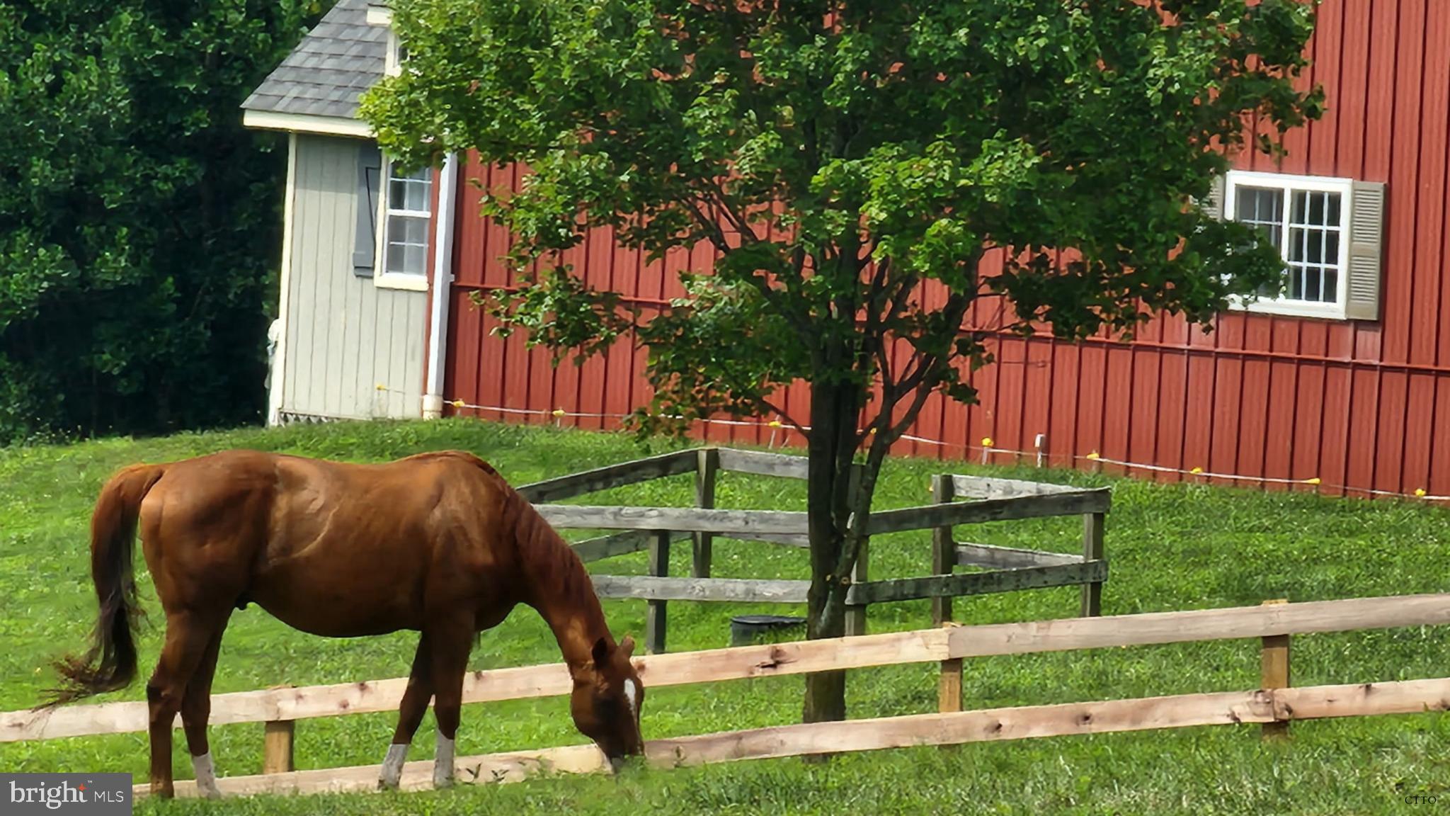 HAZEL RIDGE - Residential