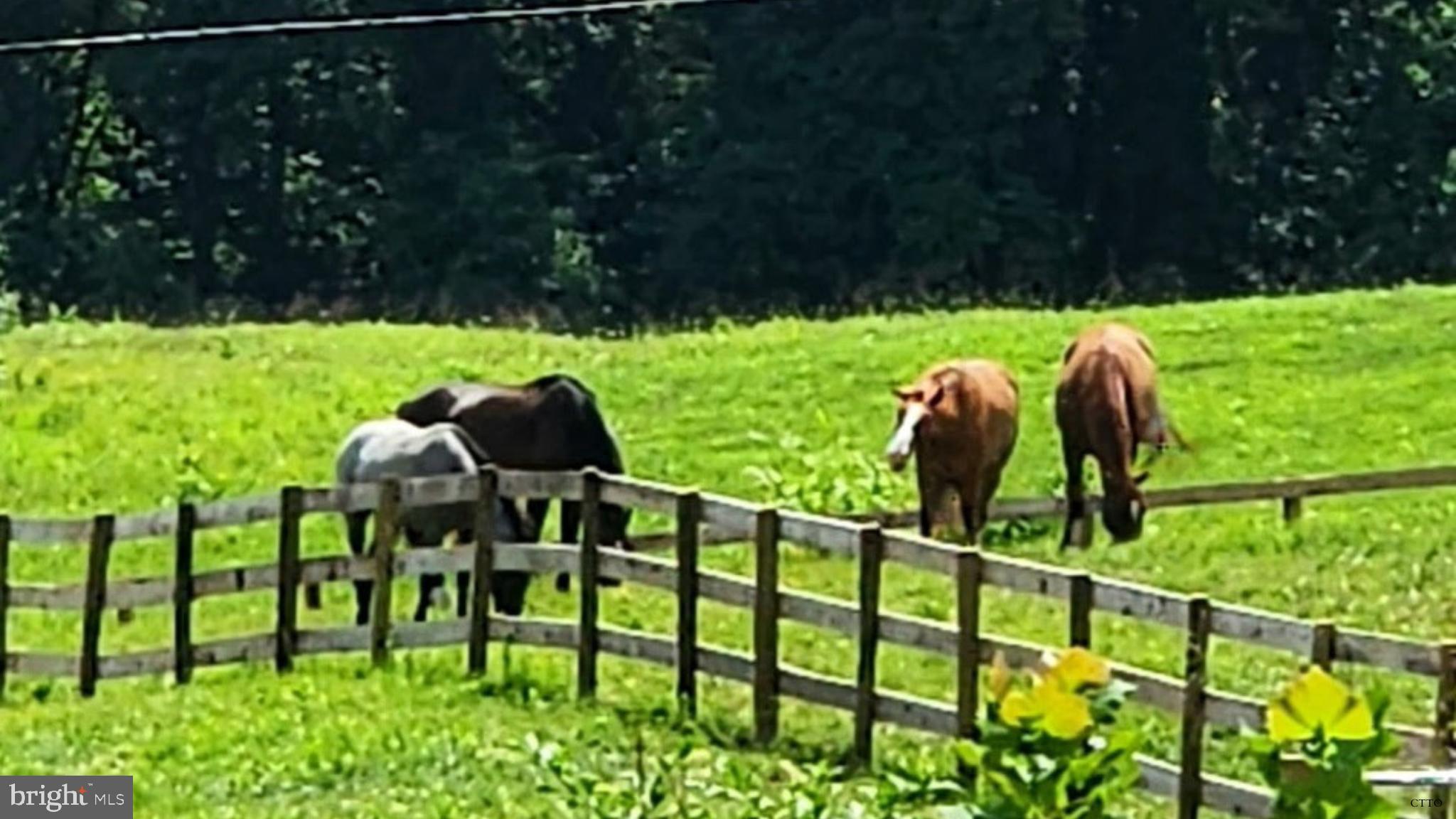 HAZEL RIDGE - Residential