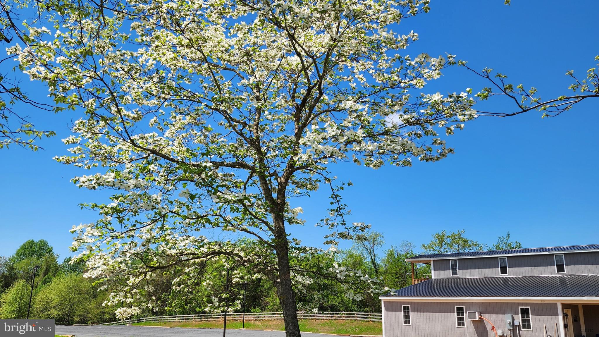 HAZEL RIDGE - Residential