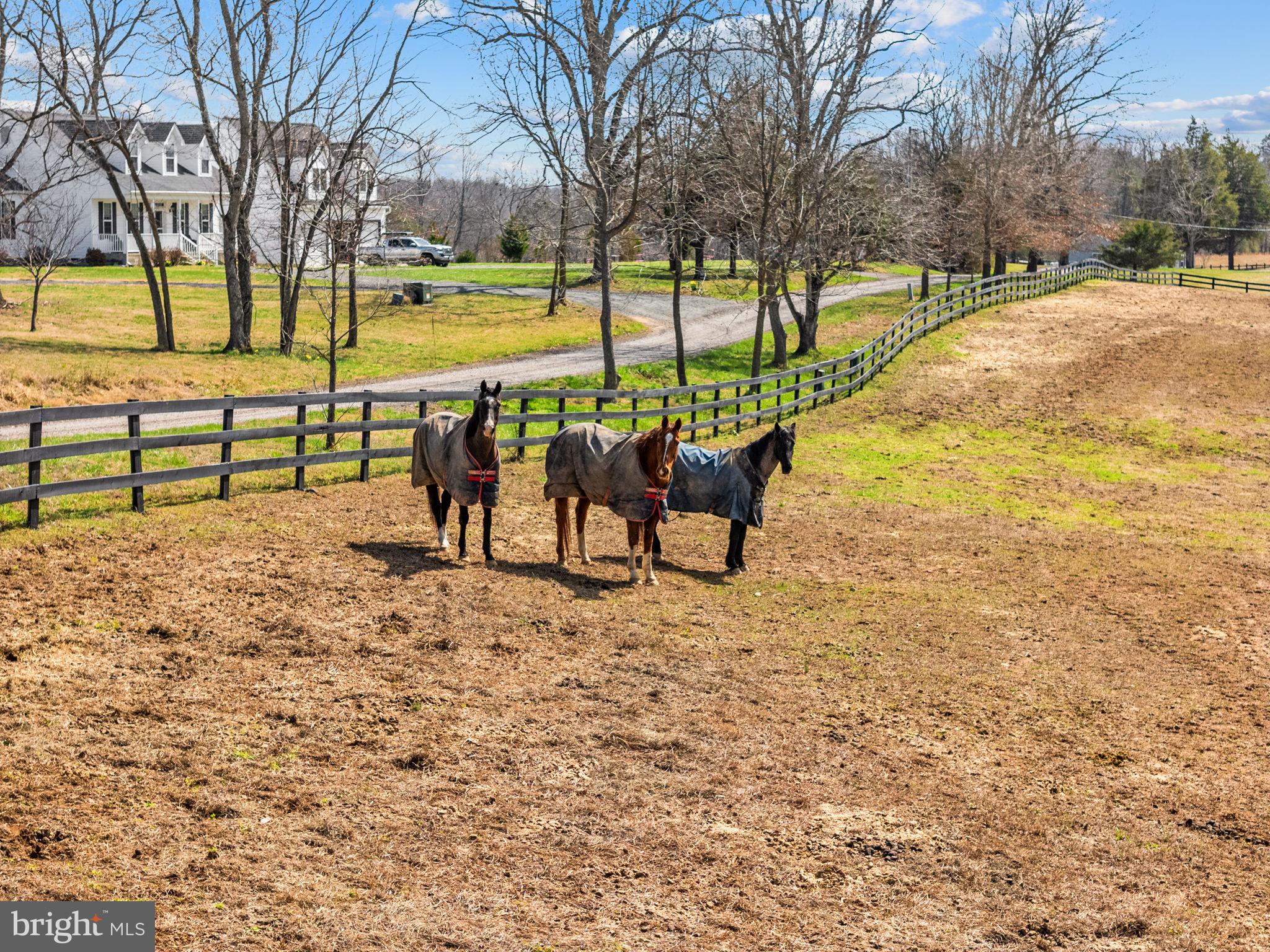 HAZEL RIDGE - Residential